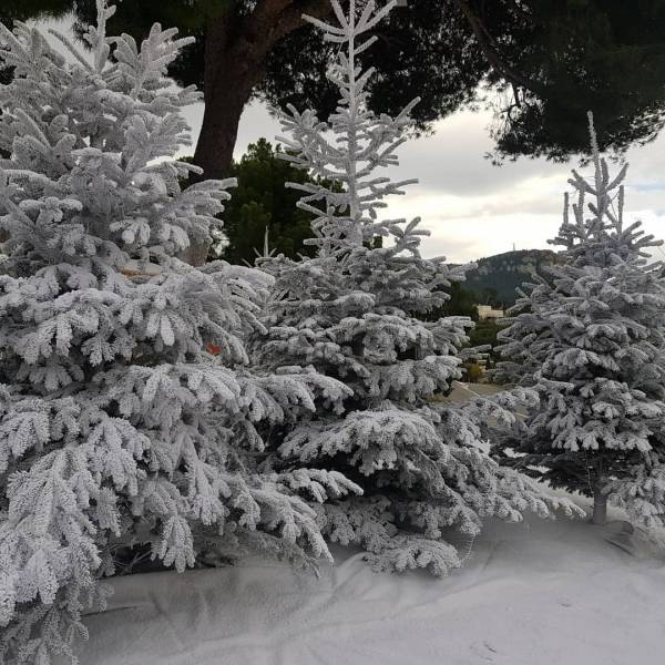 NEIGE ARTIFICIELLE PACA PYROFOLIES NEIGE