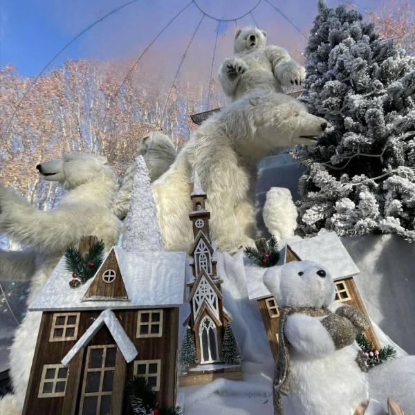Mise en place d'une bulle de Noël féerique près de Toulon