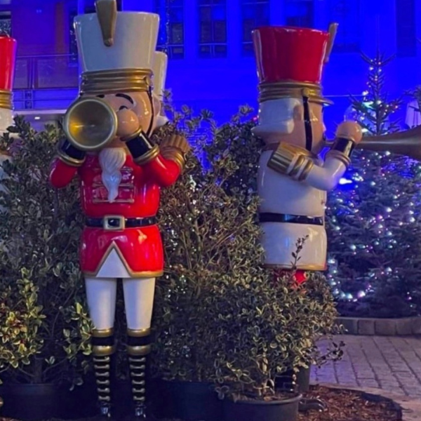 location casse noisette 