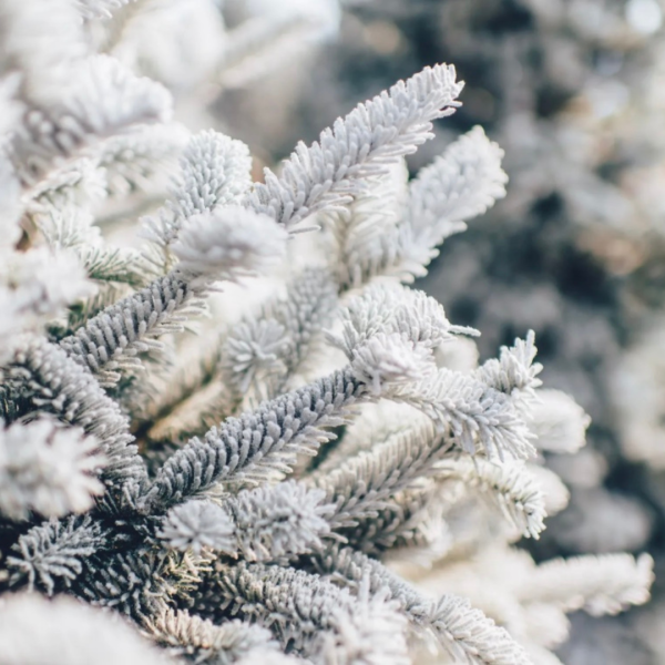 flocage neige artificielle