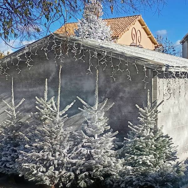 Flocage de sapins et chalets de Noël dans le Var : une neige artificielle biodégradable pour un décor féerique près de Toulon