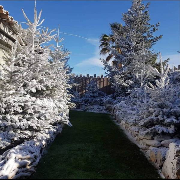 Flocage de neige artificielle : créer une forêt blanche féerique dans les Bouches-du-Rhône