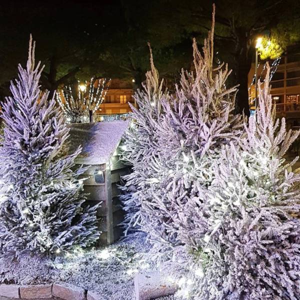 Réalisation de sapins de noël sublimés par un flocage de neige artificielle.