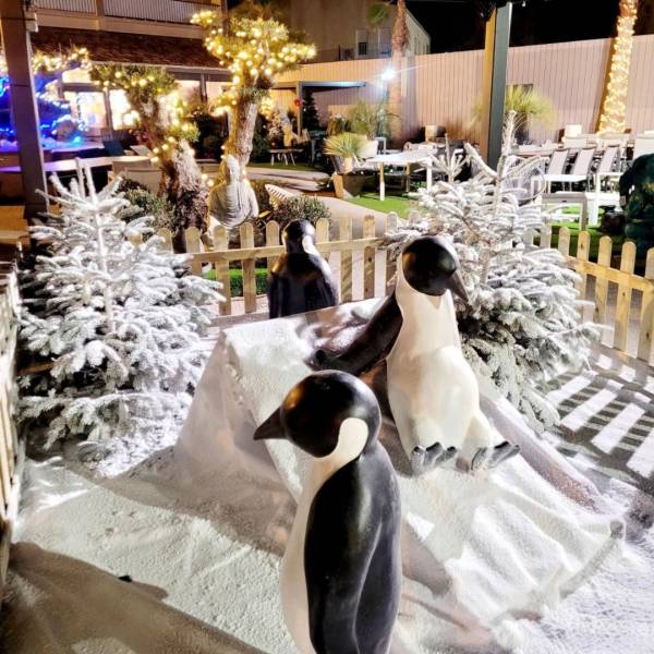 Un hiver féerique à Fréjus : Colors Events transforme la ville avec neige artificielle et pingouins décoratifs