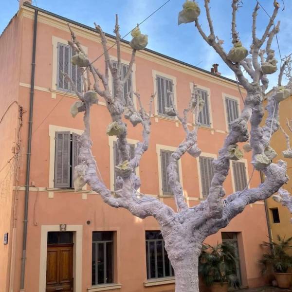 Flocage de neige artificielle biodégradable à Sanary 