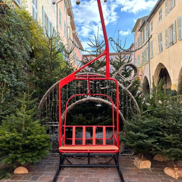 Créer un espace féerique pour des photos magiques au cœur d’une forêt de sapins à Toulon